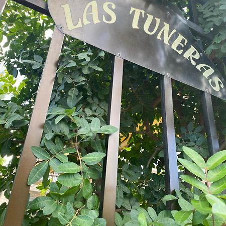 Las Tuneras Apartamento En San Agustin Сан-Бартоломе Экстерьер фото
